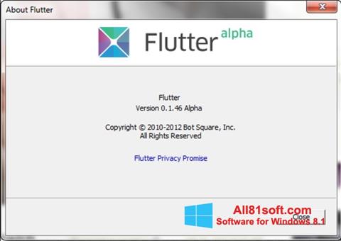 צילום מסך Flutter Windows 8.1