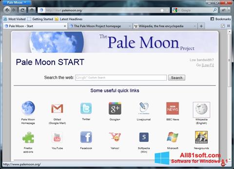 צילום מסך Pale Moon Windows 8.1
