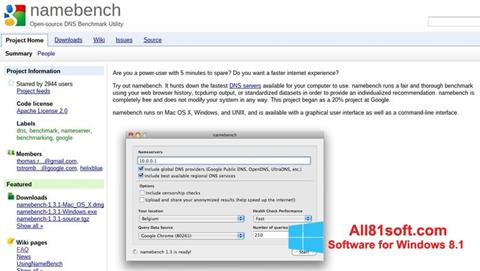 צילום מסך NameBench Windows 8.1