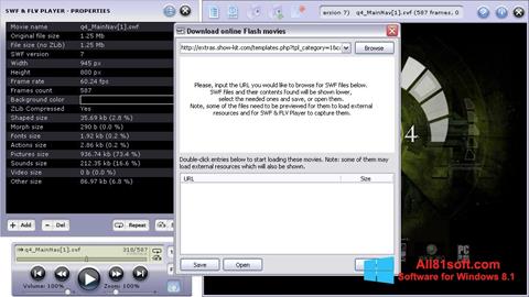 צילום מסך FLV Player Windows 8.1