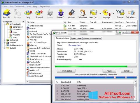 צילום מסך Internet Download Manager Windows 8.1