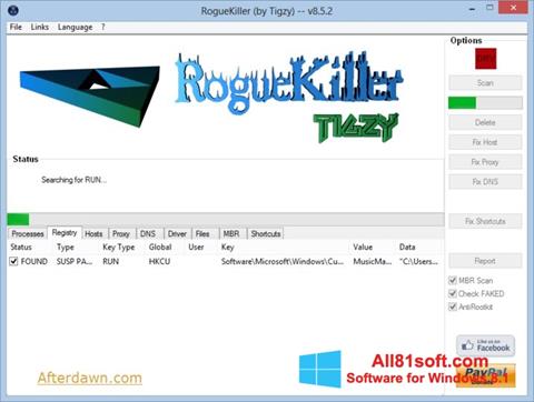 צילום מסך RogueKiller Windows 8.1
