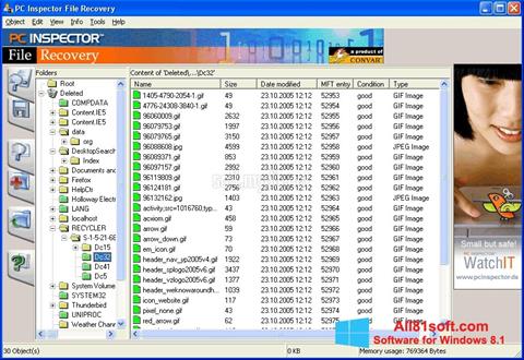 צילום מסך PC Inspector File Recovery Windows 8.1