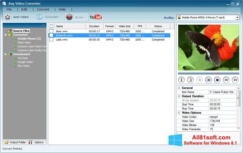 צילום מסך Any Video Converter Windows 8.1