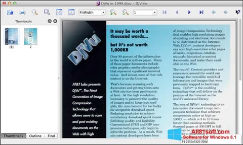 צילום מסך DjView Windows 8.1