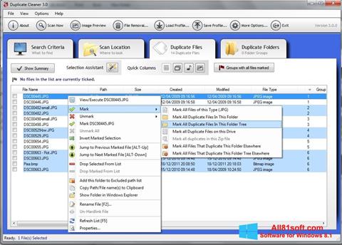 צילום מסך Duplicate Cleaner Windows 8.1