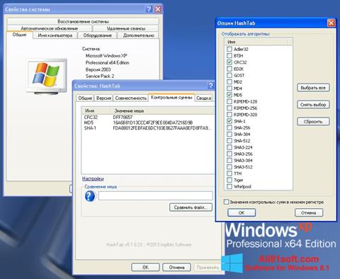 צילום מסך HashTab Windows 8.1